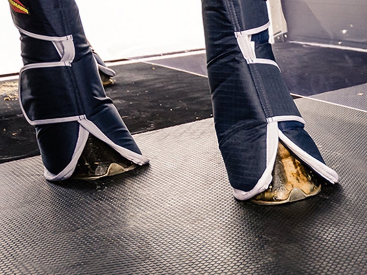 Pferd hat sicheren Stand mit der Verschleissmattte von Böckmann