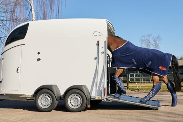 Pferd geht in Anhänger mit niedriger Rampe